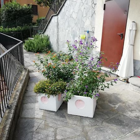 Villa Banfi 拉韦纳蓬泰特雷萨 外观 照片