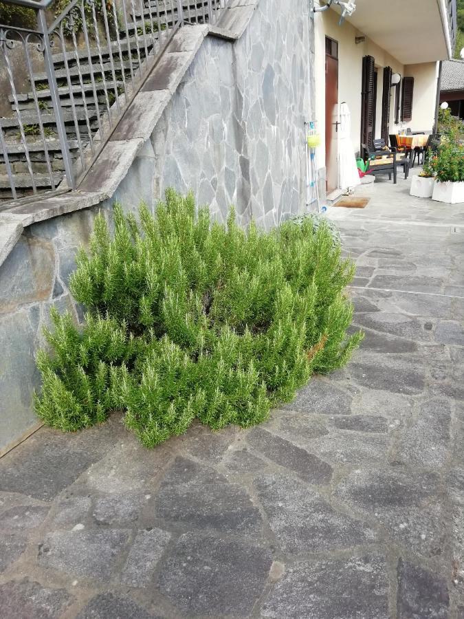 Villa Banfi 拉韦纳蓬泰特雷萨 外观 照片