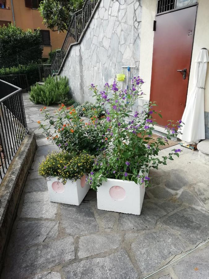 Villa Banfi 拉韦纳蓬泰特雷萨 外观 照片