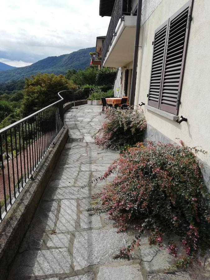 Villa Banfi 拉韦纳蓬泰特雷萨 外观 照片