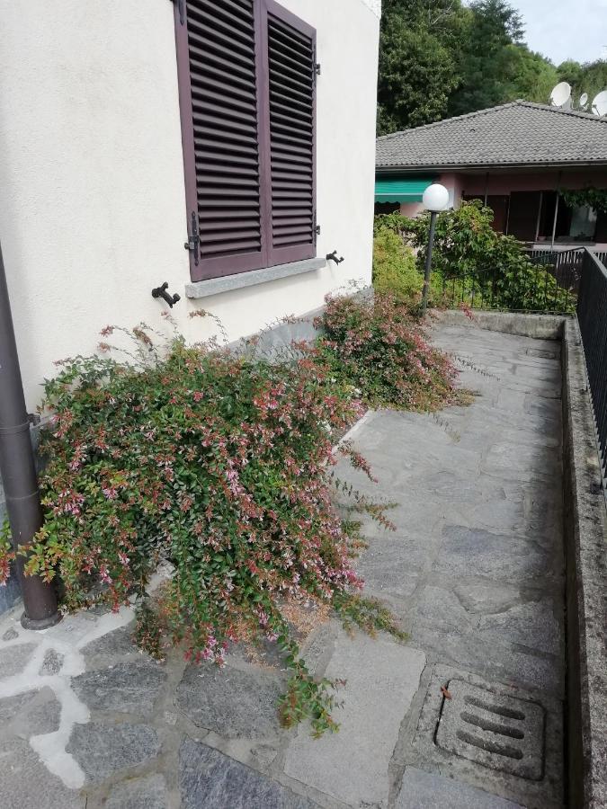 Villa Banfi 拉韦纳蓬泰特雷萨 外观 照片