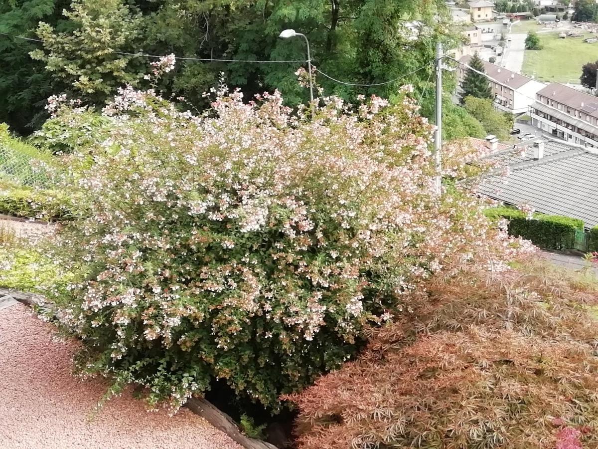 Villa Banfi 拉韦纳蓬泰特雷萨 外观 照片