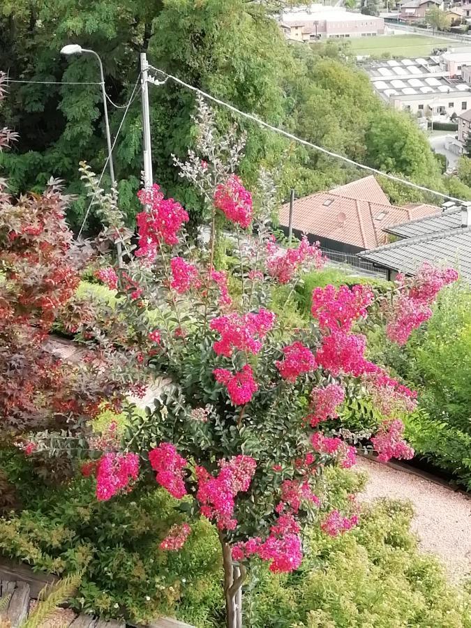 Villa Banfi 拉韦纳蓬泰特雷萨 外观 照片