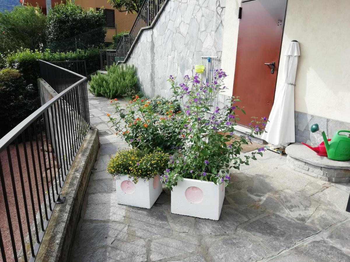 Villa Banfi 拉韦纳蓬泰特雷萨 外观 照片