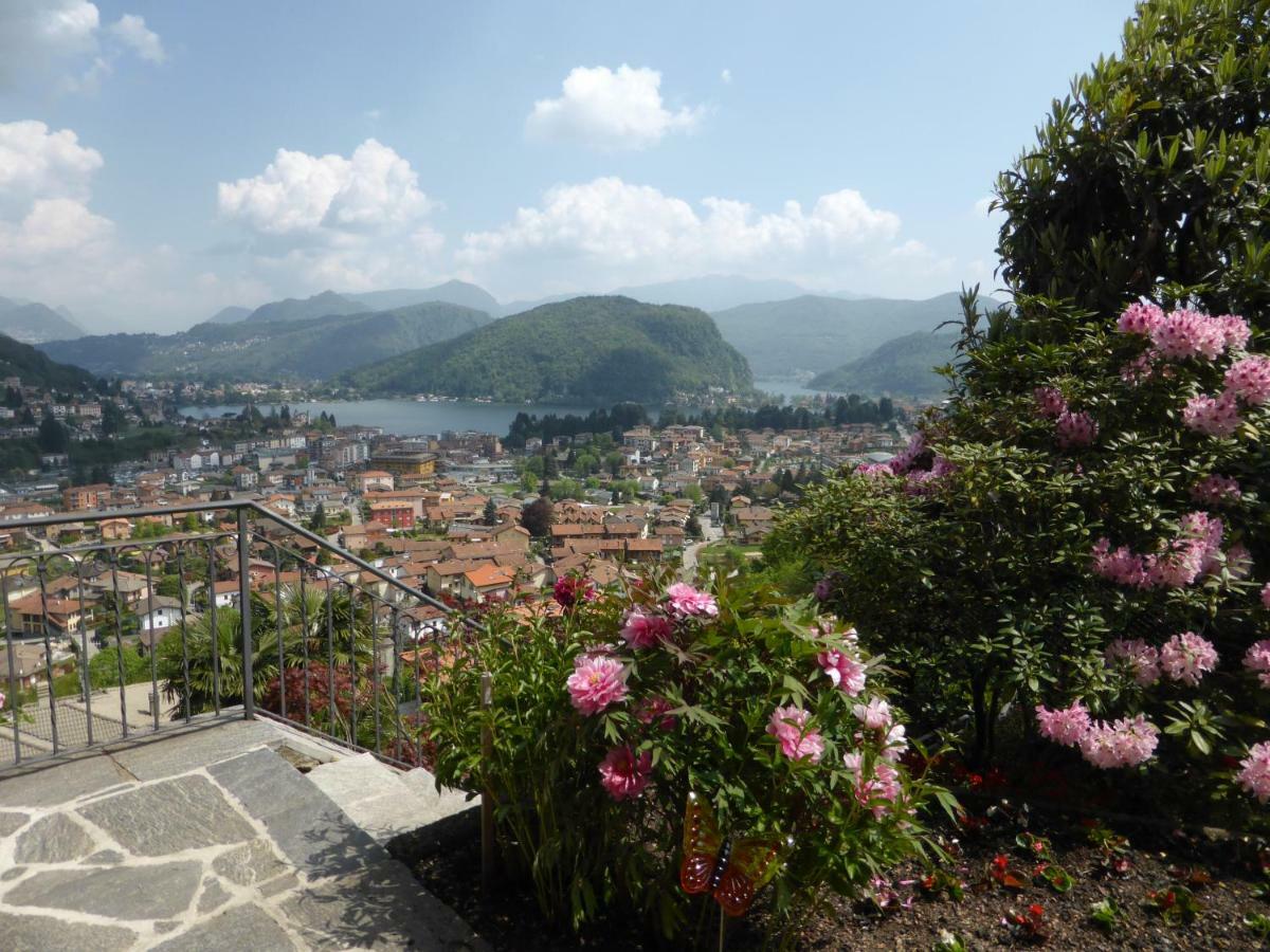 Villa Banfi 拉韦纳蓬泰特雷萨 外观 照片