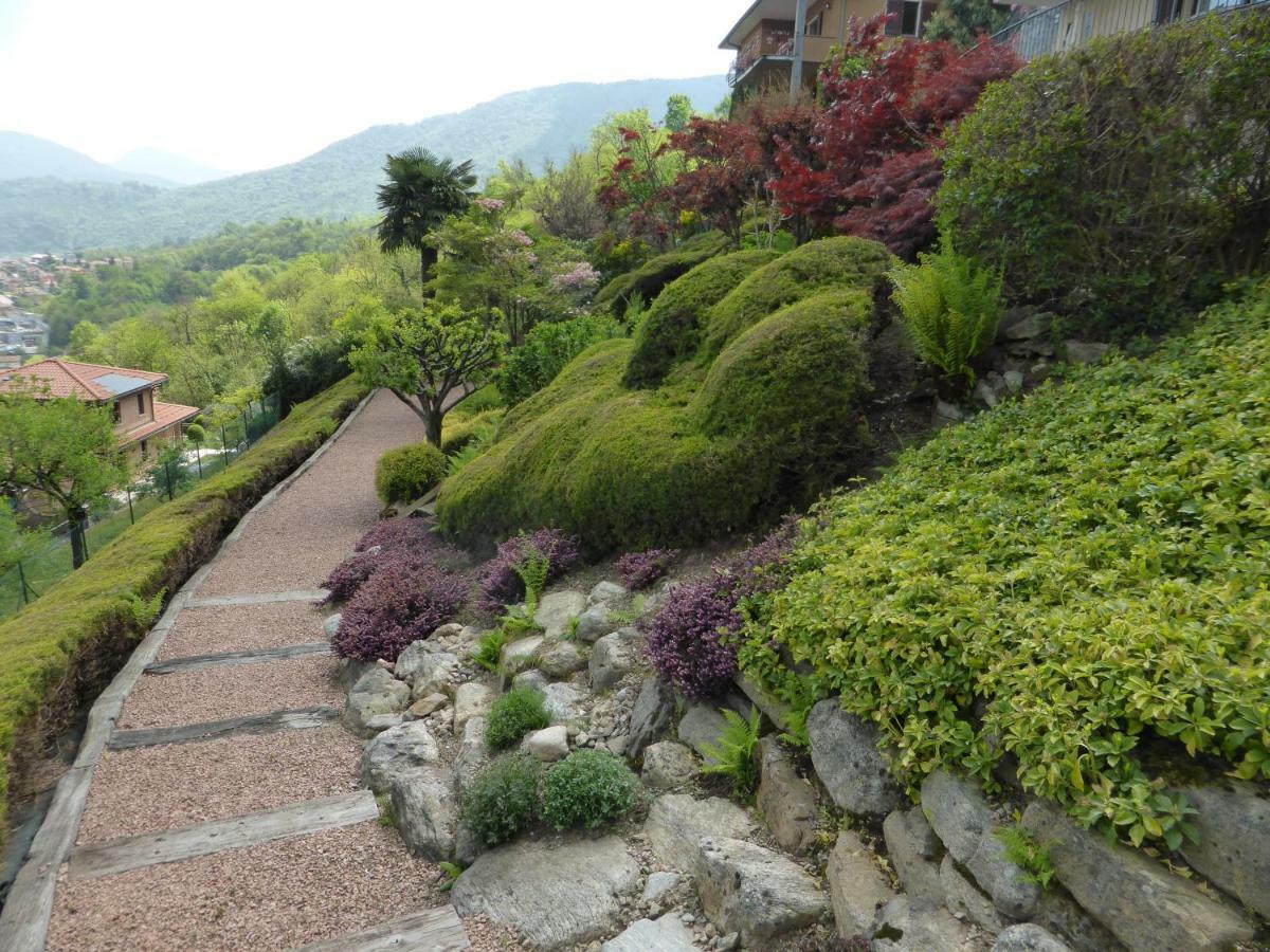 Villa Banfi 拉韦纳蓬泰特雷萨 外观 照片