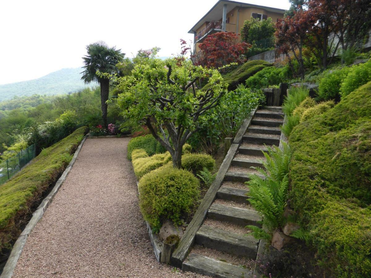 Villa Banfi 拉韦纳蓬泰特雷萨 外观 照片